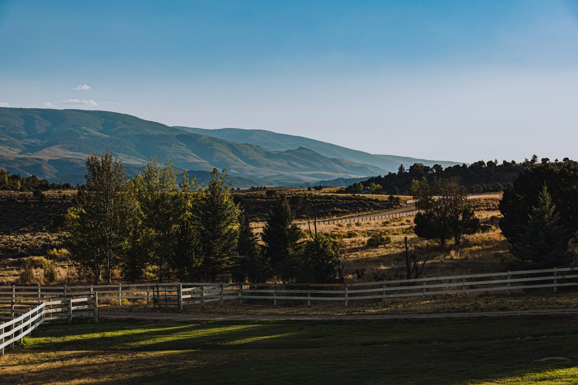 Ranch Cluster
